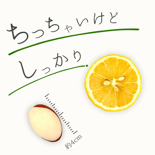 れもんのこども 13個入り