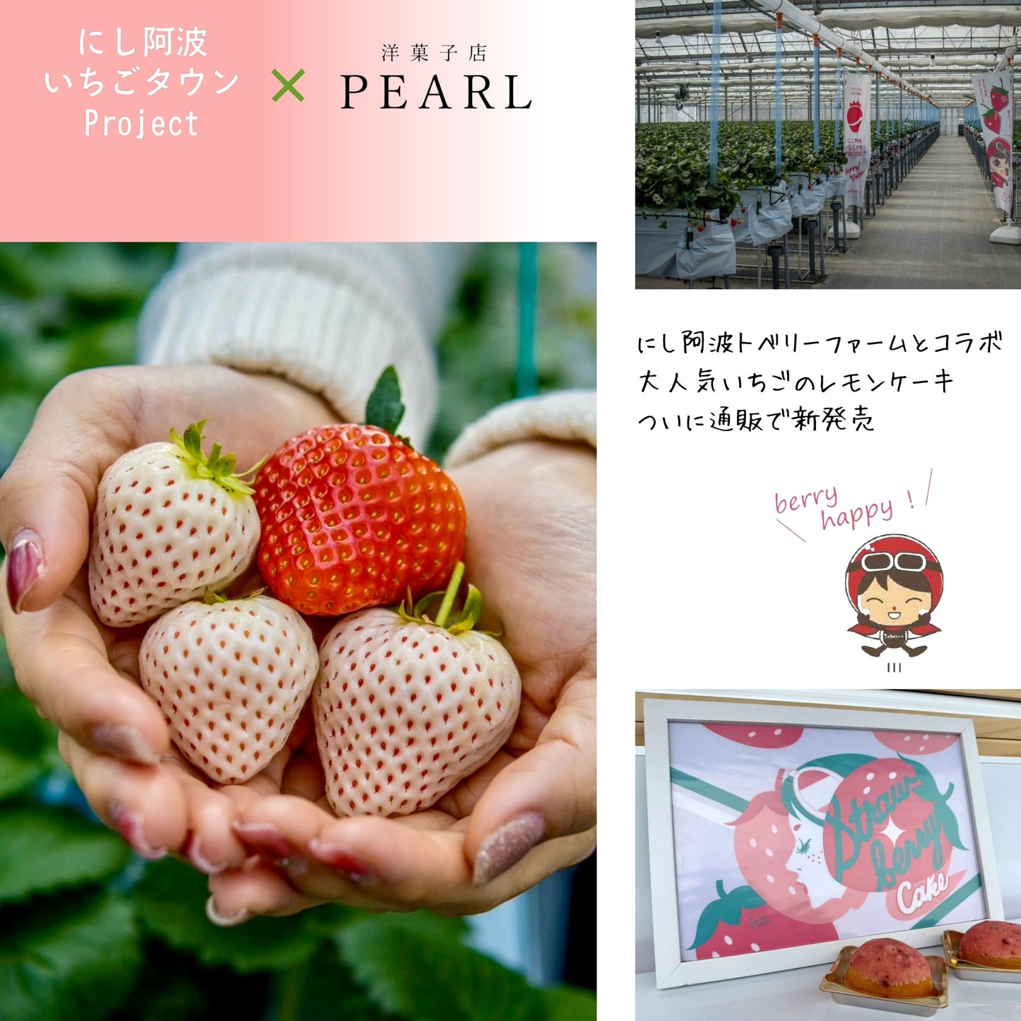 2種レモンケーキセット (ふぞろいの檸檬たち/いちごのレモンケーキ)