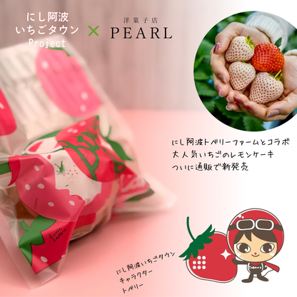 いちごのレモンケーキ 10個入り (ご自宅用 / ギフト用)