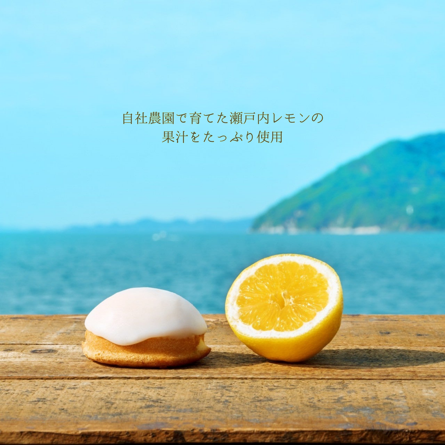 パールのレモンケーキ 6個入り (ギフト用のみ)