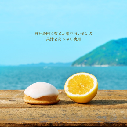 パールのレモンケーキ 6個入り (ギフト用のみ)